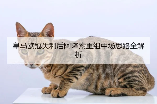 皇马欧冠失利后阿隆索重组中场思路全解析